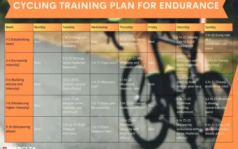 A 12 week cycling training plan for endurance, detailing weekly workouts from establishing base to sharpening phase.