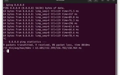 Terminal z wynikami polecenia ping do adresu 8.8.8.8. Widać czasy odpowiedzi pakietów i statystyki.