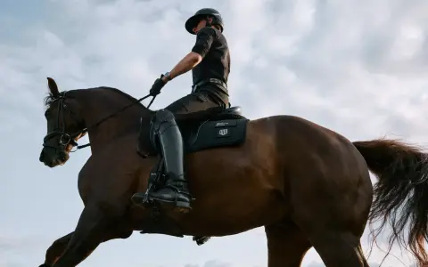 Reiter im schwarzen Outfit im Trab auf einem braunen Pferd, der Himmel ist bewölkt.