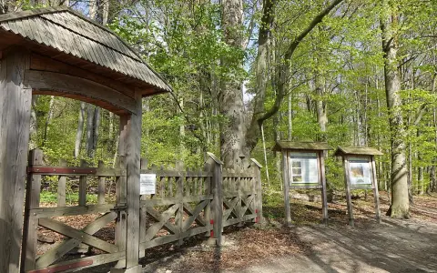 Drewniana brama prowadzi do lasu bukowego. Tablice informacyjne stoją obok.