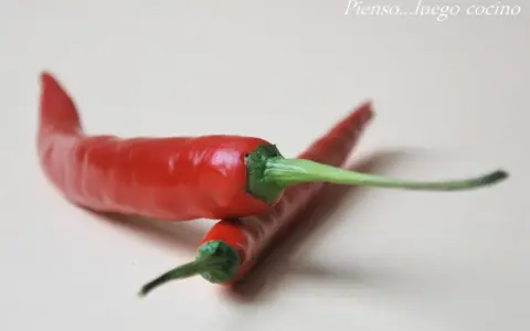 Dos chiles rojos brillantes con tallos verdes sobre fondo claro.