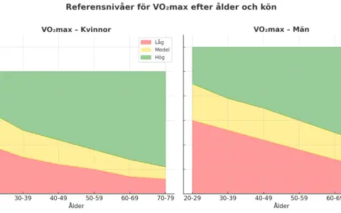 Vo2 max tabell visar referensnivåer för kvinnor och män uppdelat på ålder och konditionsnivå (låg, medel, hög).