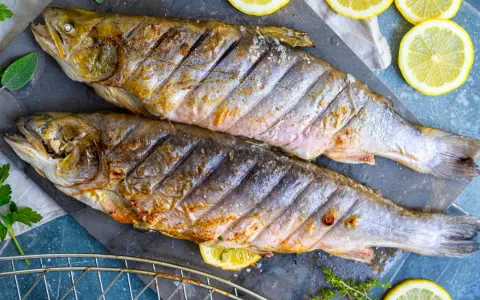 Zwei gegrillte Saiblinge liegen auf einem Steinplatte, garniert mit Zitronenscheiben und Kräutern. Perfekt für den Grill – wie lange dauert das?