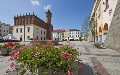 Tarnów co zwiedzić? Rynek z ratuszem i kwitnące pelargonie. Idealne miejsce na spacer i odkrywanie uroków miasta.