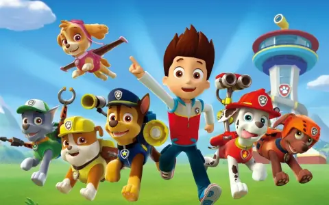 Psi Patrol obsada: Ryder i jego psiaki gotowi do akcji! Chase, Marshall, Rocky, Zuma, Rubble i Skye w pełnej krasie.