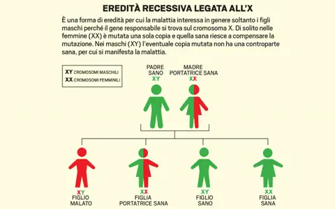 Albero genealogico che illustra le sindromi genetiche nei bambini, con un padre sano e una madre portatrice sana, mostrando la trasmissione del gene recessivo legato all'X.
