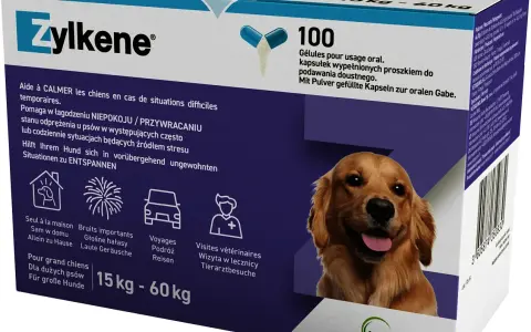 Najlepsze leki na uspokojenie dla psa - naturalne i farmaceutyczne opcje