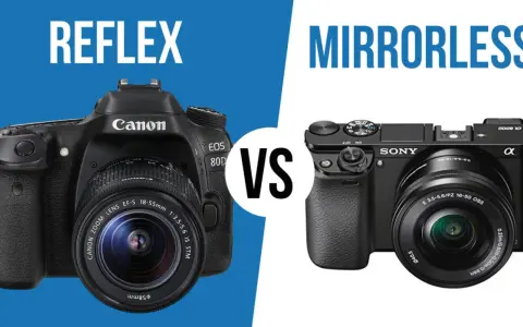 Confronto tra reflex Canon e mirrorless Sony, un'evoluzione dalla prima macchina fotografica digitale.