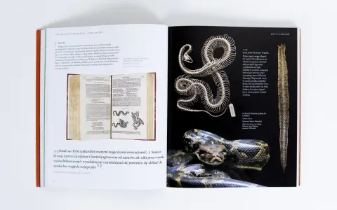 Ile książek Fantastyczne zwierzęta? Pełna lista i kolejność czytania