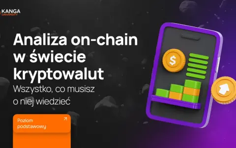 Analiza on-chain kryptowalut: wykresy, monety i dane. Poznaj podstawy.