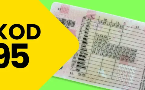 Świadectwo kwalifikacji zawodowej (Kod 95): Jak zdobyć i odnowić?