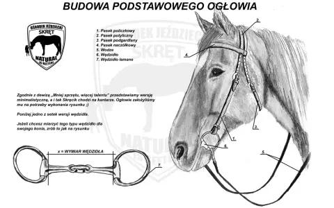 Ilustracja przedstawia budowę ogłowia konia z oznaczeniami poszczególnych elementów, takich jak paski i wędzidło.