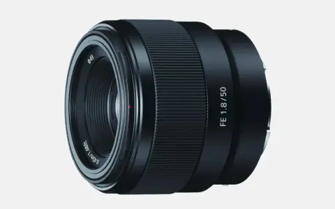 Jaki obiektyw do Canon 450D? Odmień zdjęcia tanio i skutecznie!