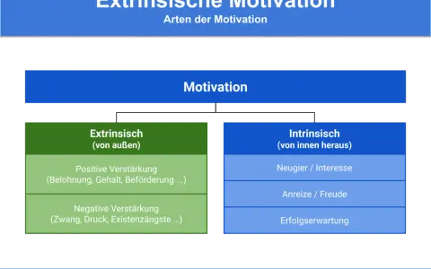 Diagramm zeigt Motivation, aufgeteilt in extrinsisch (von außen, z.B. Belohnung) und intrinsisch (von innen, z.B. Neugier).