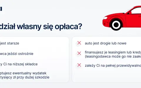 Zastanawiasz się, czy franczyza (czy franszyza) się opłaca? Sprawdź, kiedy udział własny jest korzystny, a kiedy lepiej go unikać.