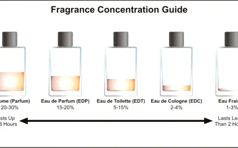 Eau de Toilette oder Eau de Parfum – Welche Wahl ist die richtige für dich?