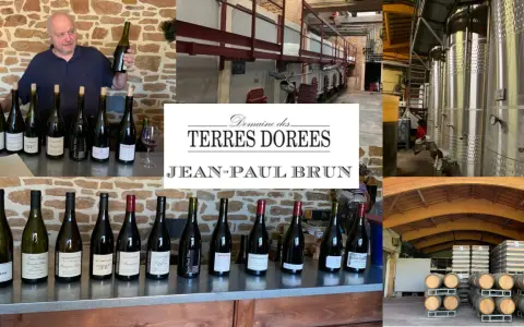 Jean-Paul Brun, vigneron du Domaine des Terres Dorées, présente ses vins. La cave et les cuves de vinification sont visibles.