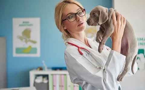 Kiedy pierwsza wizyta u weterynarza z psem, aby uniknąć problemów zdrowotnych