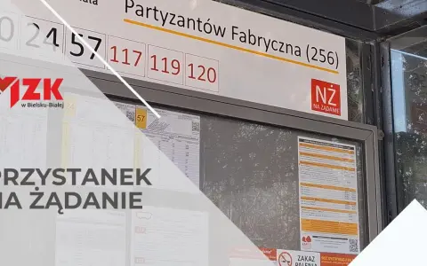 Skąd odjeżdża autobus Auchan Bielsko? Sprawdź najbliższe przystanki