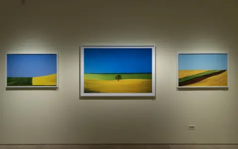 Tre quadri di un fotografo ritraggono campi coltivati con colori vivaci, un albero solitario e un cielo azzurro.