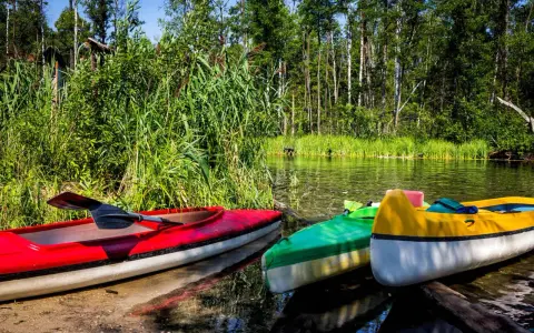 Trzy kolorowe kajaki czekają na brzegu rzeki Krutynia. Woda odbija zieleń drzew i niebo.