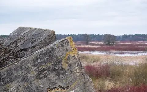 Betonowe pozostałości bunkrów w **Osowiec** na tle mokradeł i lasu.