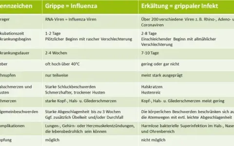 Influenza Symptome bei Erwachsenen: So erkennen Sie die Krankheit schnell