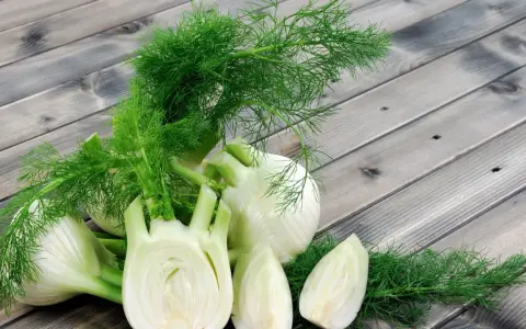 Frischer Fenchel, oft als wohltuend in der Schwangerschaft empfohlen, liegt auf einer Holzoberfläche.
