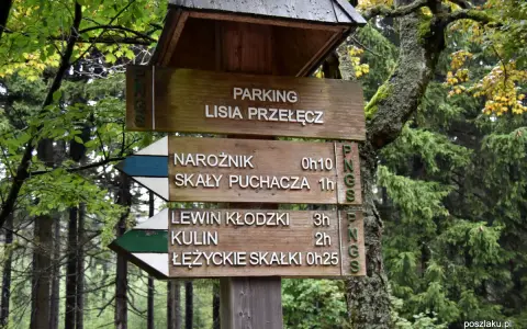 Drewniany drogowskaz na leśnej ścieżce. Wskazuje parking Lisia Przełęcz oraz kierunki do Narożnika, Skał Puchacza, Lewina Kłodzkiego, Kulin i Łężyckich Skałek.