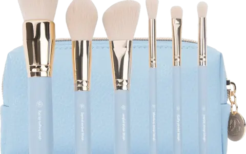 BH Cosmetics Pinsel: Welches Set passt zu dir? Der Guide