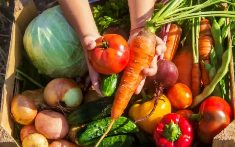 Cesto pieno di verdure di stagione di maggio: pomodori, carote, cavoli, cipolle, patate, peperoni, cetrioli e fagiolini.