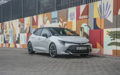 Srebrna Toyota Corolla GR na tle kolorowego muralu z motywami zwierzęcymi.