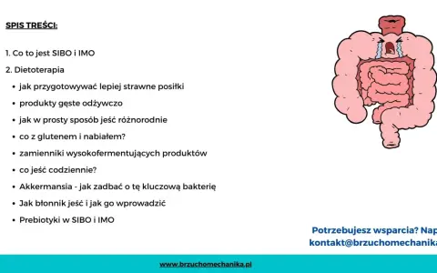 Ilustracja przedstawia jelita, które mogą być powiązane z **sibo przyczyny**. Spis treści omawia dietoterapię i sposoby radzenia sobie z problemami jelitowymi.