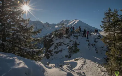 Grupa turystów na ośnieżonym szczycie. Słońce przebija się przez gałęzie świerków. Tatry zimą dla średniozaawansowanych.
