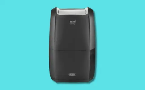 Deumidificatore De'Longhi AriaDry Pure. Valutare i deumidificatore pro e contro per un ambiente più salubre.