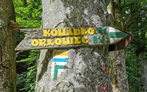 Drewniany drogowskaz "Kowadło 3½, Orłowiec 8½" na drzewie w lesie. Obok znak szlaku turystycznego.