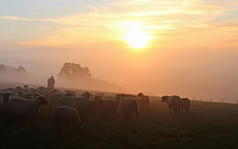 Pasterz prowadzi stado owiec przez mglisty poranek, słońce wschodzi, tworząc ciepłą, złotą poświatę, jak w psalm 72.