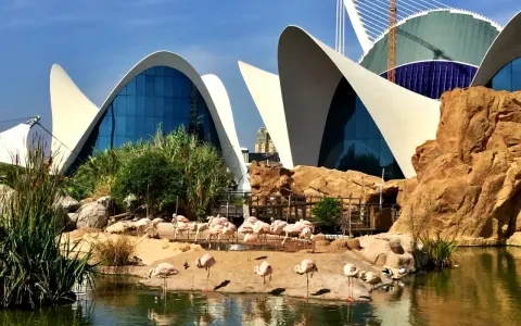 Największe oceanarium Europy? Oceanogràfic Walencja Twój przewodnik