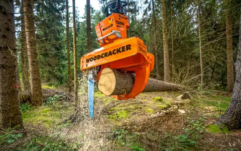 Pomarańczowe maszyny leśne do zrywki drewna, model Woodcracker, tną pień drzewa w lesie.
