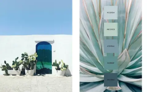 Puerta azul vibrante y cactus frente a pared blanca, junto a una paleta de colores que muestra el color complementario del verde en tonos azulados y verdosos.