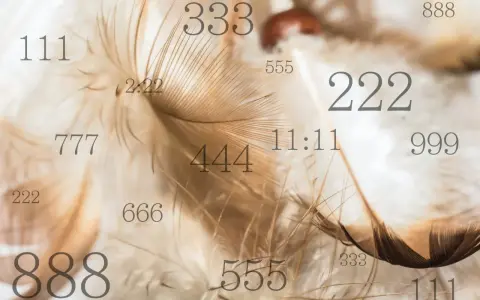 Delikatne pióra otulają anielskie liczby: 111, 222, 333, 444, 555, 666, 777, 888, 999, 11:11 i 2:22.