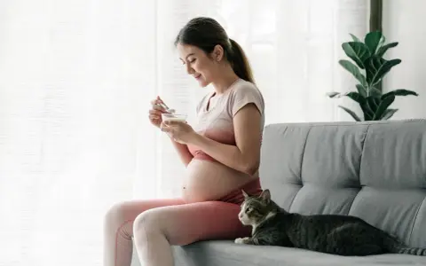 Schwangere Frau isst Joghurt, Katze liegt daneben. Achtung bei Toxoplasmose Symptome Schwangerschaft.