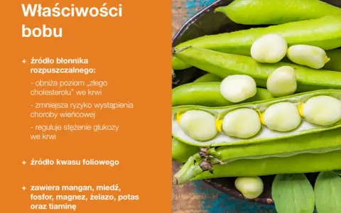 Bób, bogaty w błonnik, reguluje poziom cholesterolu i glukozy we krwi, zmniejszając ryzyko chorób serca. Czy bób jest kaloryczny? Jest zdrowy i pełen witamin.