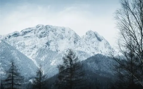 Zimowe Tatry dla początkujących: ośnieżone szczyty, gęste lasy i samotne drzewa tworzą malowniczy krajobraz.