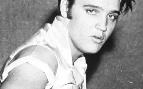 Junger Elvis Presley, mit seinem charakteristischen Blick und jugendlichem Charme, blickt in die Kamera.