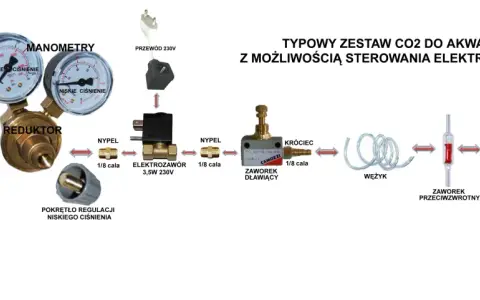 Schemat zestawu do podawania CO2 w akwarium: butla, reduktor, elektrozawór, wężyk, dyfuzor.