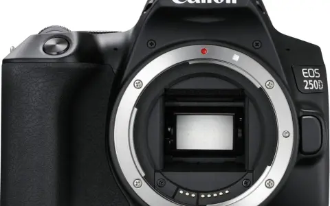 Najtańsza lustrzanka Canon: wybierz najlepszy model dla początkujących