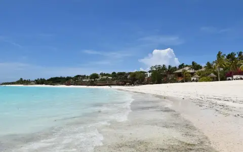 Rajskie zanzibar wakacje: biały piasek, turkusowa woda i palmy. Idealne miejsce na relaks.