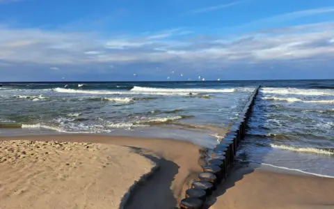 Pociągiem nad morze! Piękny dzień, fale rozbijają się o brzeg, a mewy szybują na błękitnym niebie.