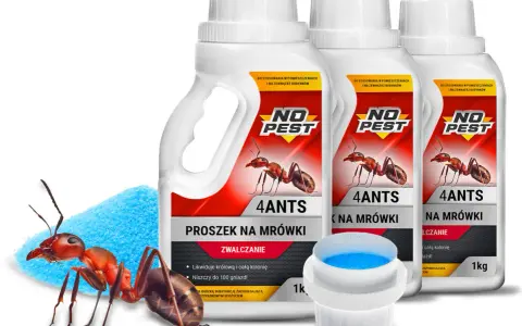 Proszek na mrówki "4ANTS" - najlepszy środek na mrówki, który skutecznie zwalcza całe kolonie. W zestawie z miarką.